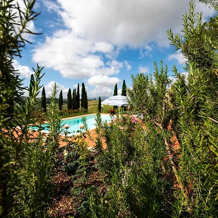 Il Pucchio Apartmán